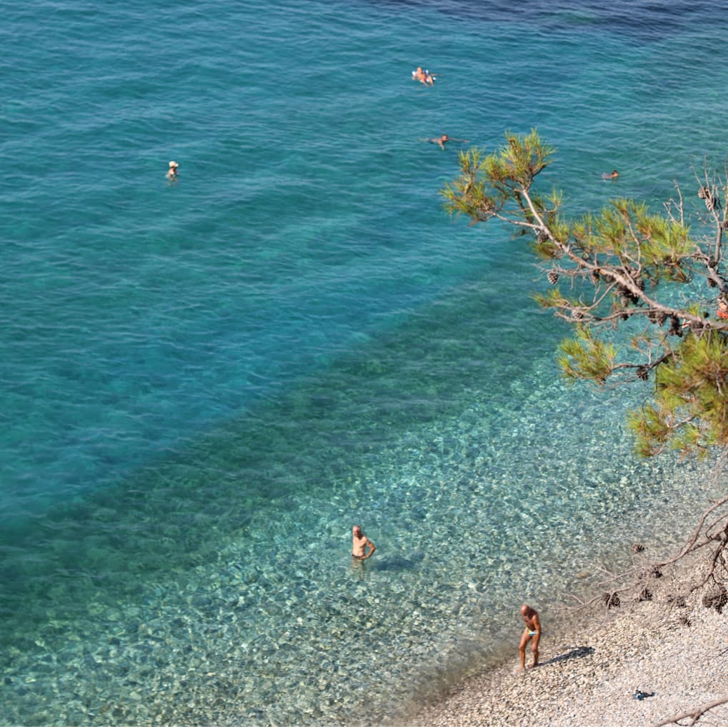Swimmers scattered across clear turquoise water seen from above, with a pine branch overhanging the pebble shore of a small cove.