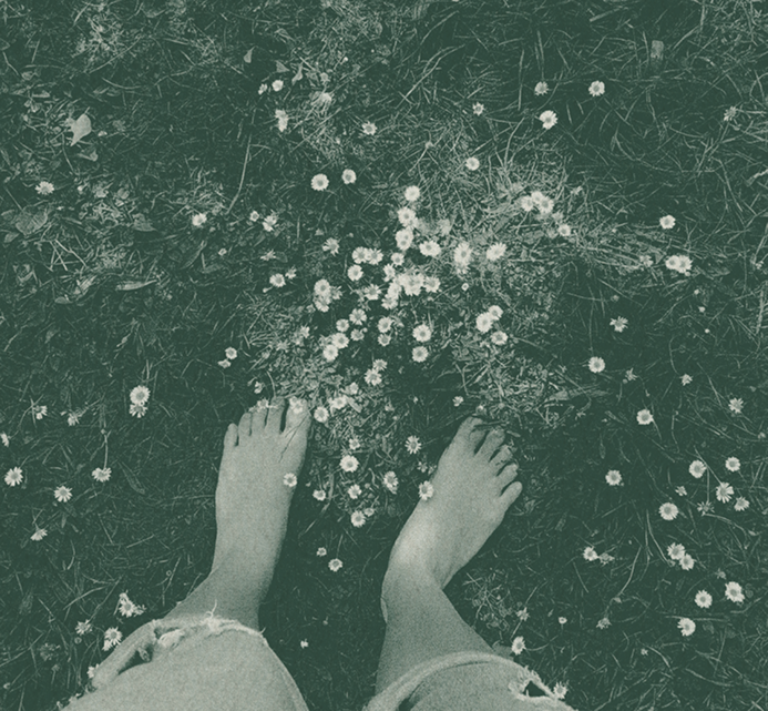 A pair of bare feet standing on grass dotted with small white daisies, seen from above on a sunny day