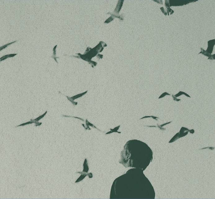 Child looking up at birds flying  - online grooming awareness
